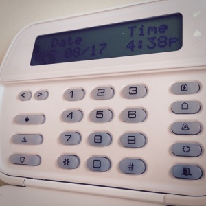 Alarm Keypad Door